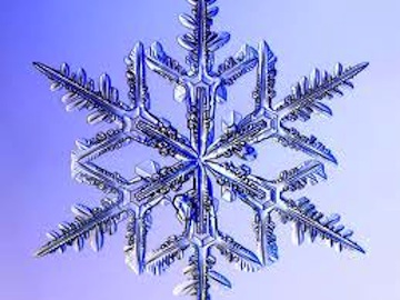 "Each wine falls like a small snowflake, but they settle into a blanket of snow"