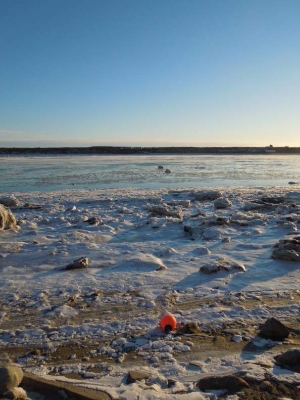 Mouth of the Naknek River