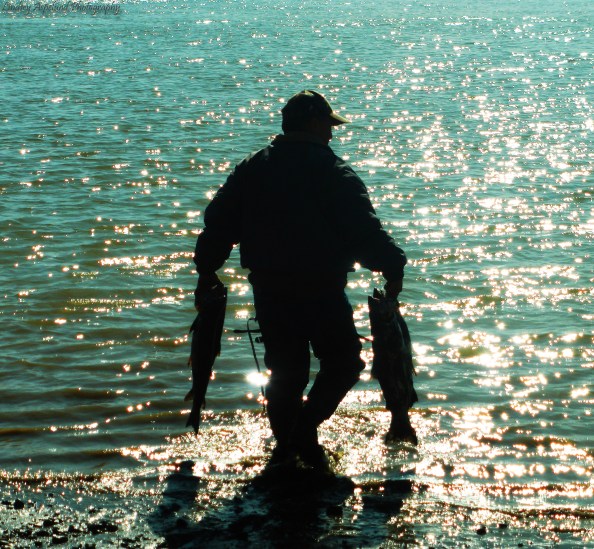 Hauling Salmon from Naknek River for Winter Homepack photo courtesy of Lindsey Aspelund